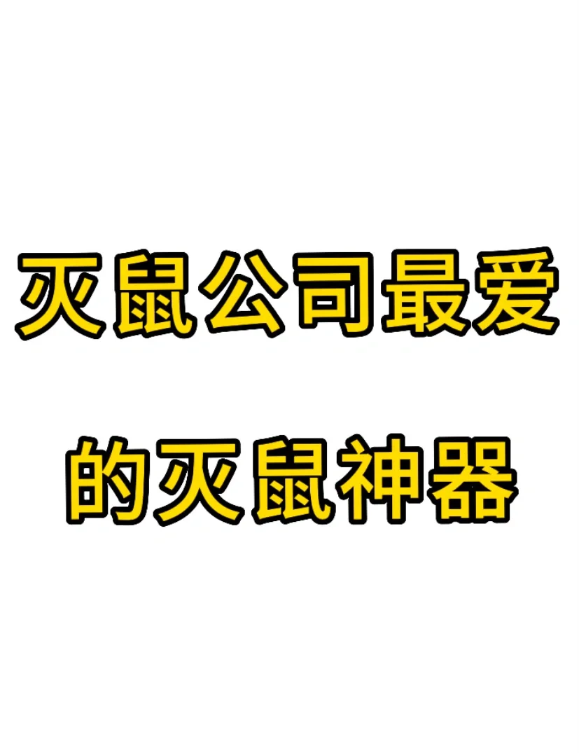 家中灭鼠安卓版灭鼠专家游戏下载