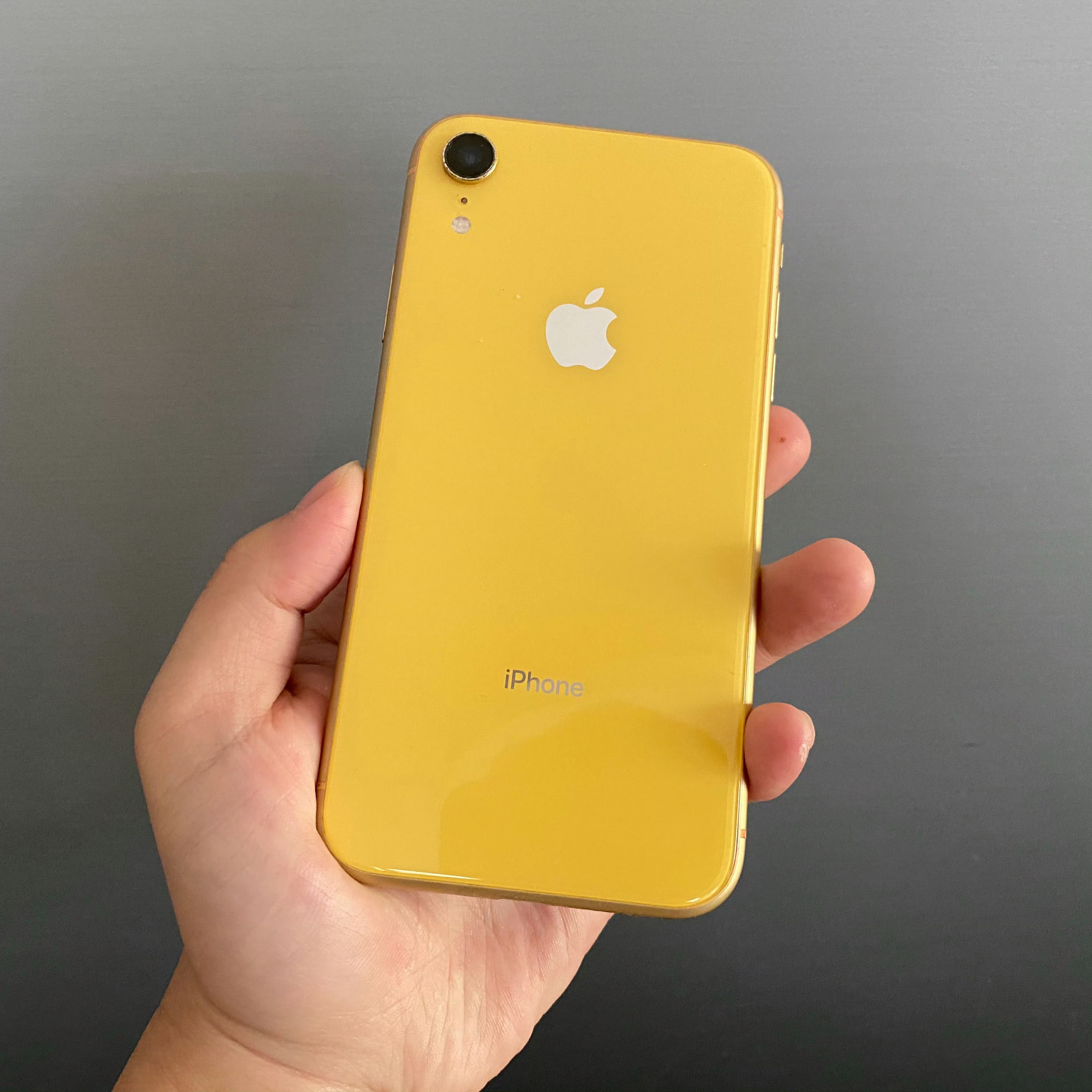 国徽版苹果xr苹果xr相当于苹果几代-第2张图片-亚星国际官网 国徽版苹果xr苹果xr相当于苹果几代-第2张图片-亚星国际官网