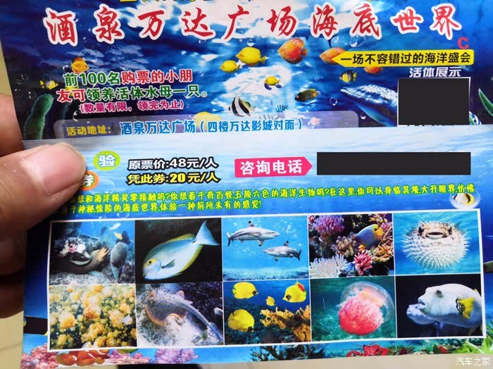 酒泉在线苹果版酒钢点点通苹果版-第2张图片-亚星国际官网